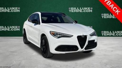 ALFA ROMEO STELVIO 2021 ZASPAKBN7M7D18363 image